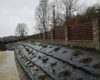 IMG_20200310_102353_original