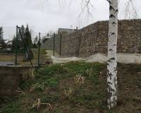 IMG_20200310_110203_original